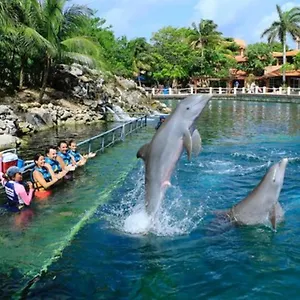 baru-luxury-homes-puerto-aventuras.allrivieramayahotels.com/