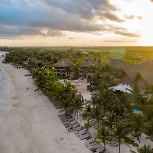 Lirios Hotell Tulum